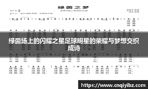 绿茵场上的闪耀之星足球明星的荣耀与梦想交织成诗