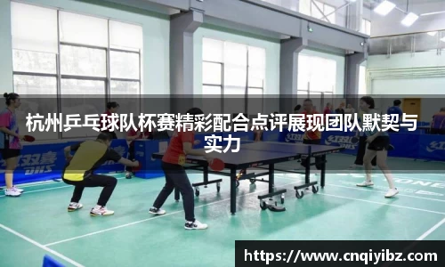 杭州乒乓球队杯赛精彩配合点评展现团队默契与实力